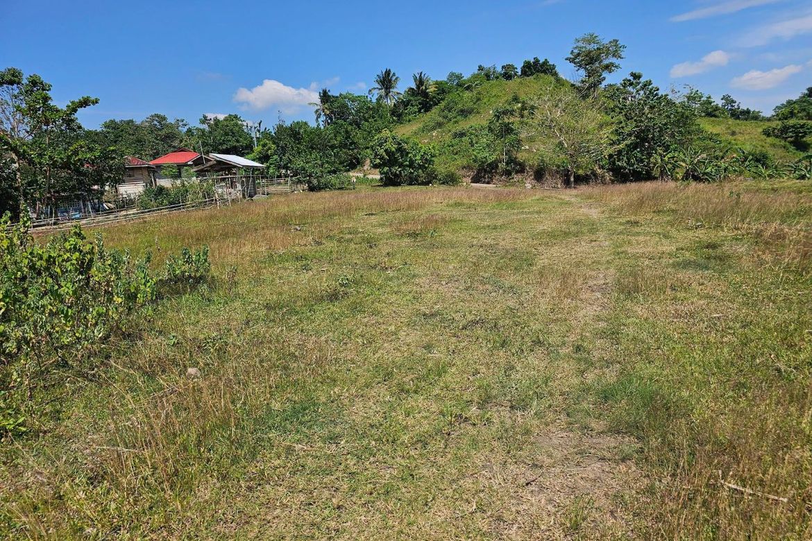 Land for Sale in Poblacion, Dagohoy, Bohol – photo 7