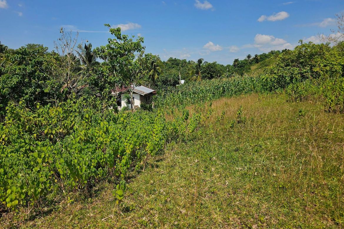 Land for Sale in Poblacion, Dagohoy, Bohol – photo 8
