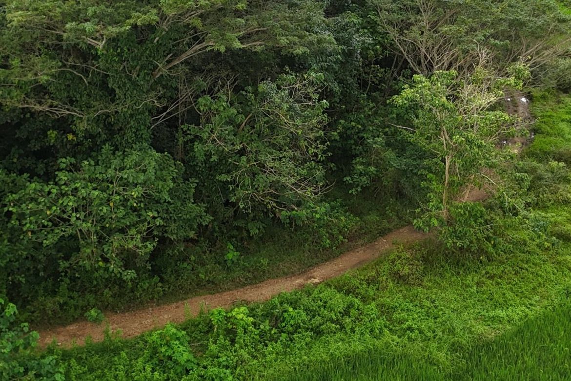 Land for Sale in Poblacion, Dagohoy, Bohol – photo 2