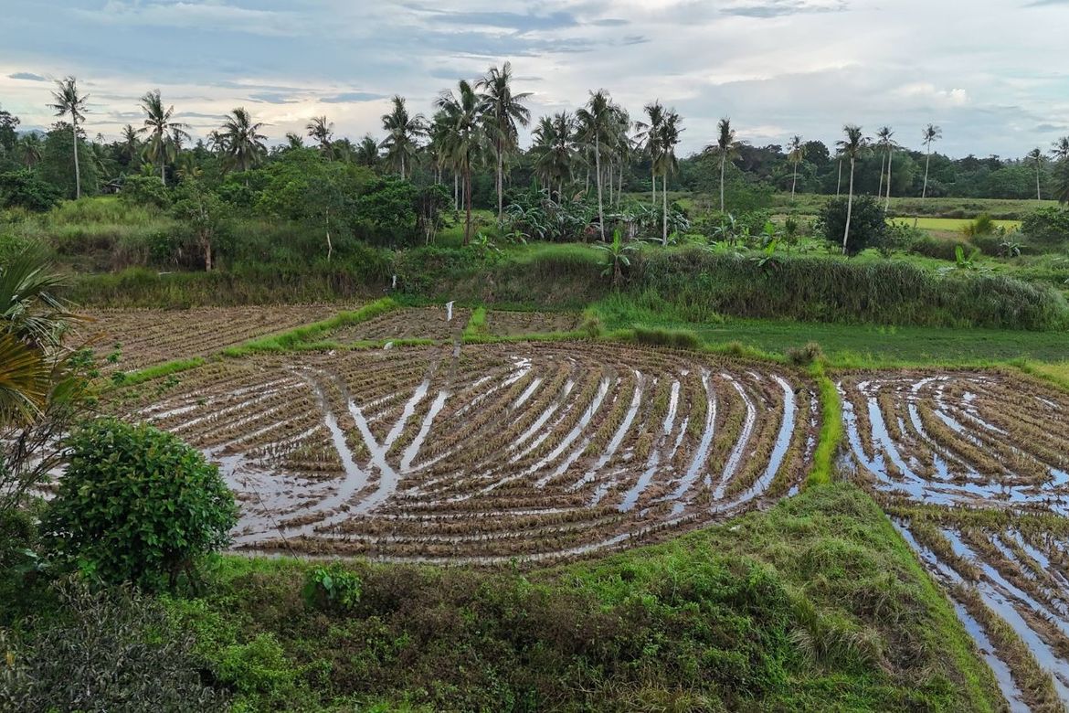 Land for Sale in Poblacion, Dagohoy, Bohol – photo 6