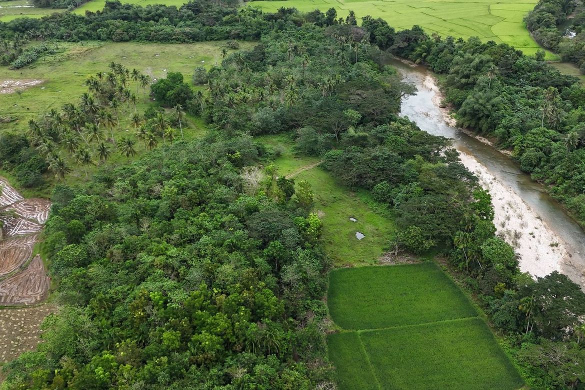 Land for Sale in Poblacion, Dagohoy, Bohol – photo 7