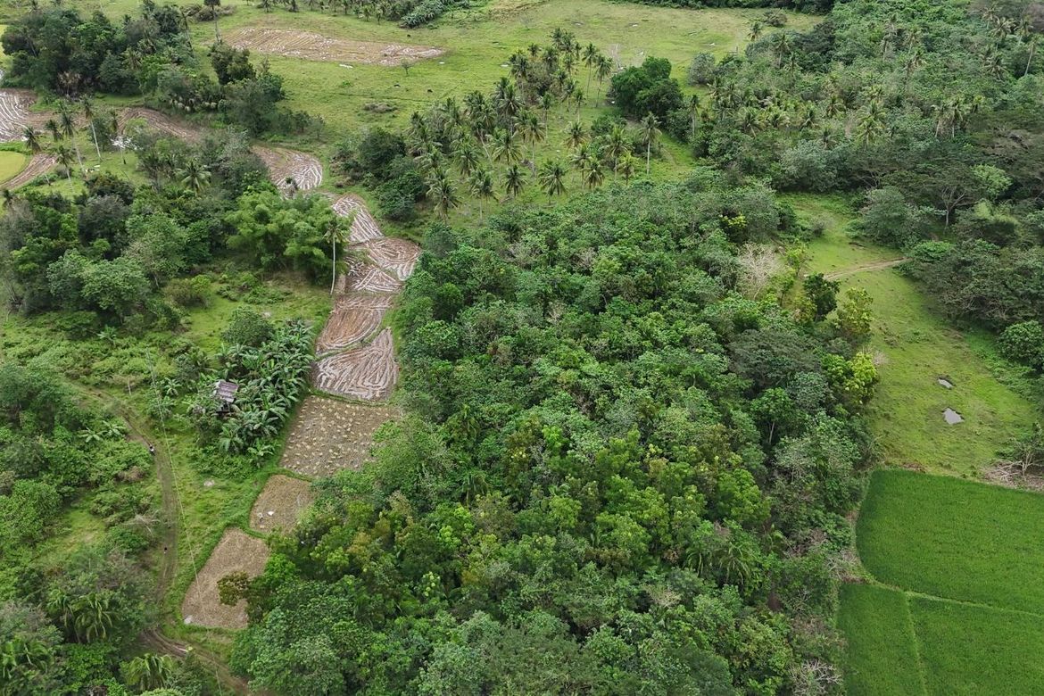 Land for Sale in Poblacion, Dagohoy, Bohol – photo 8