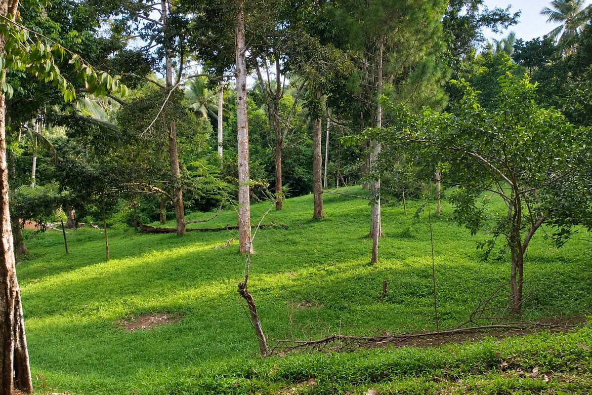 Land for Sale in Poblacion Dos, Bansalan, Davao del Sur