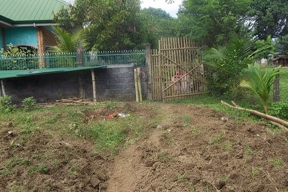 Land for Sale in Poblacion East, Alcala, Pangasinan – photo 3