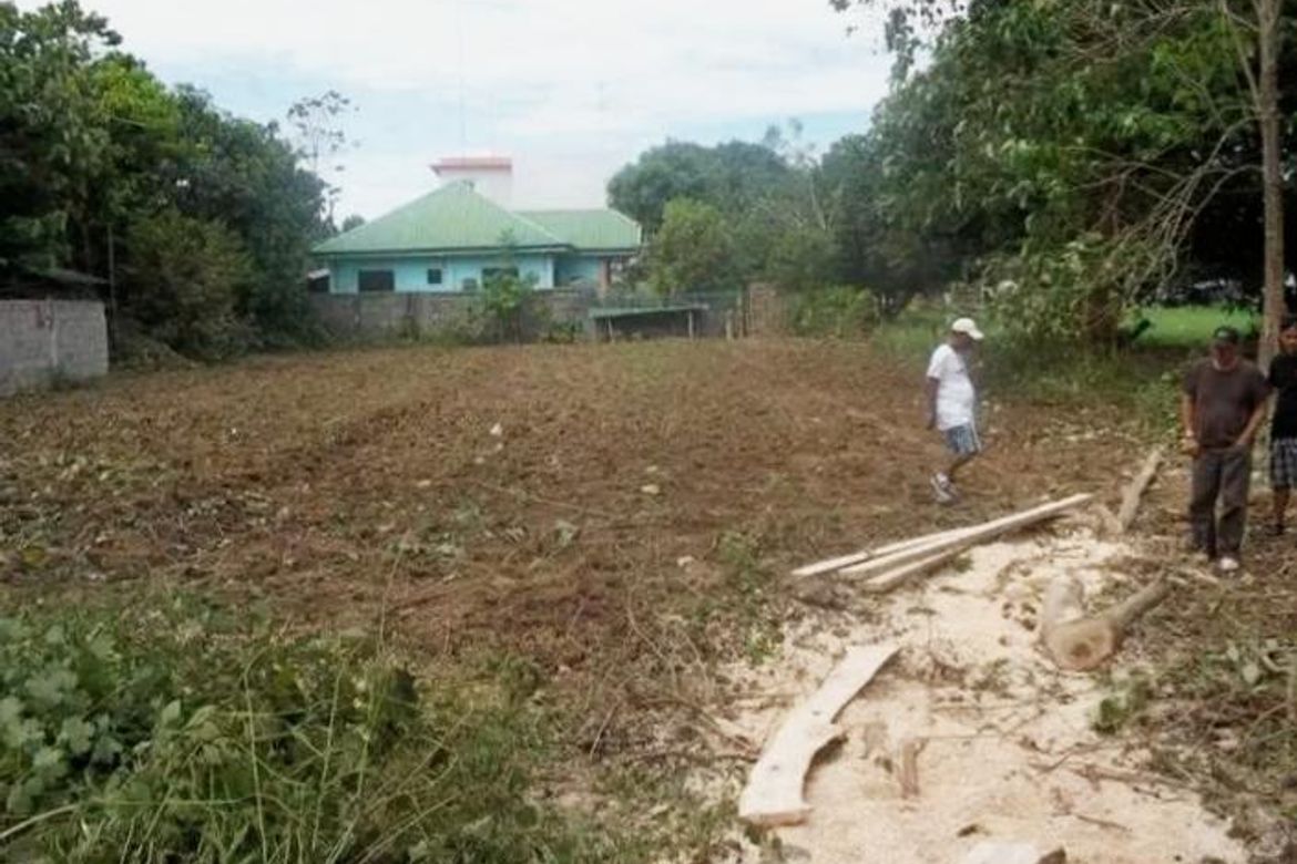 Land for Sale in Poblacion East, Alcala, Pangasinan – photo 5