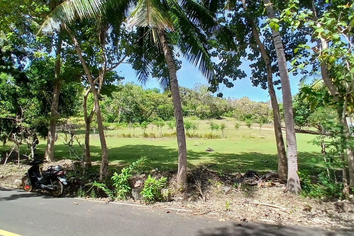 Land for Sale in Poblacion, Enrique Villanueva, Siquijor – photo 6