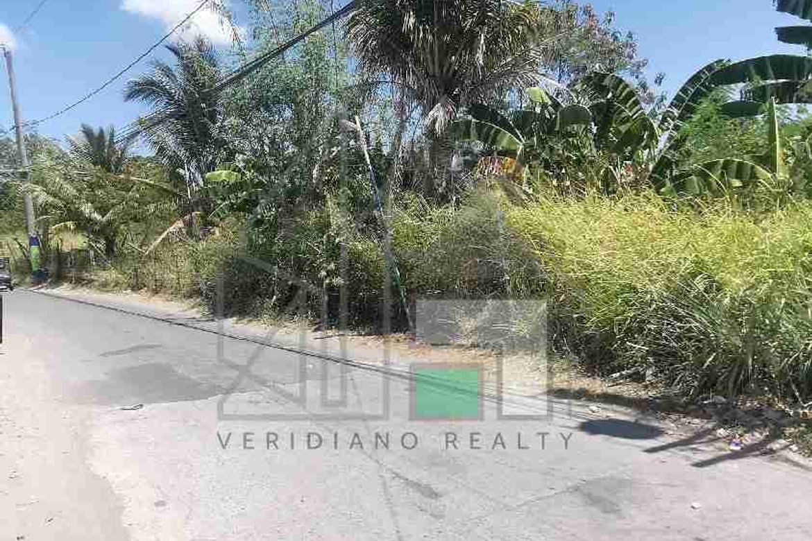 Land for Sale in Poblacion I-A, Imus, Cavite – photo 2