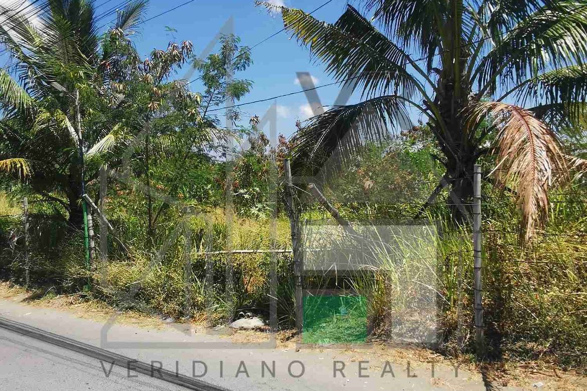 Land for Sale in Poblacion I-A, Imus, Cavite – photo 4
