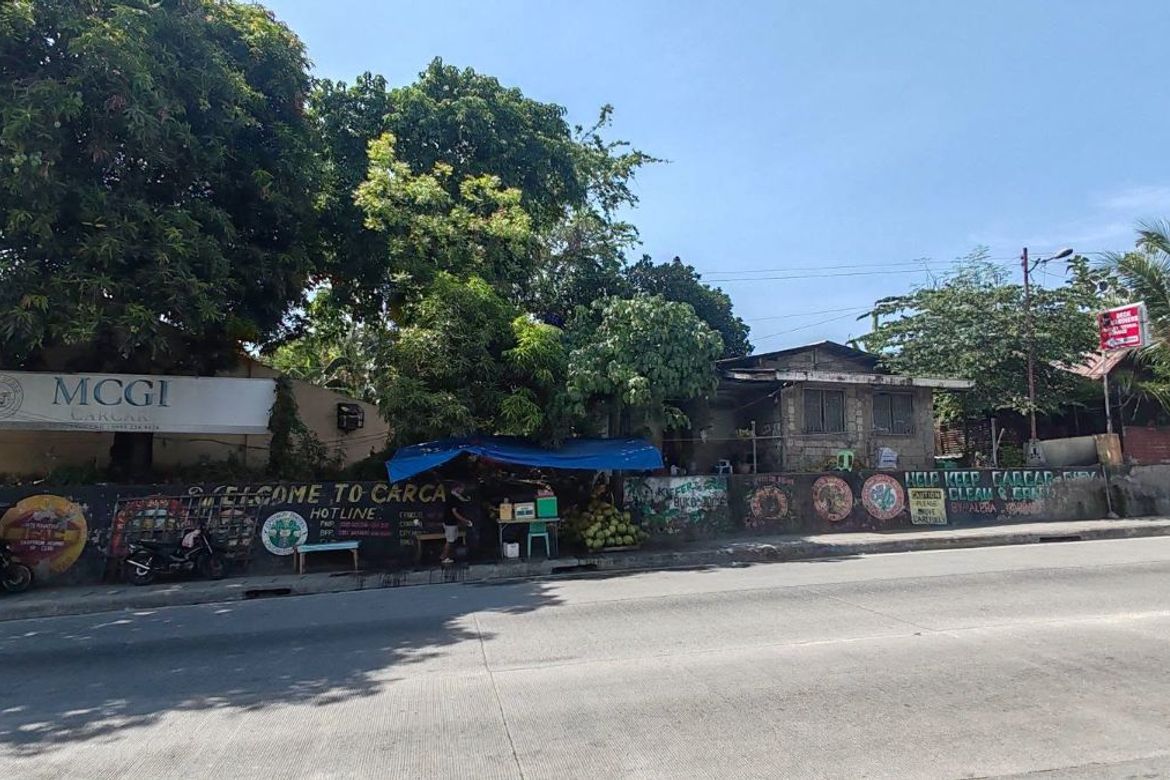 Land for Sale in Poblacion I, Carcar, Cebu – photo 2