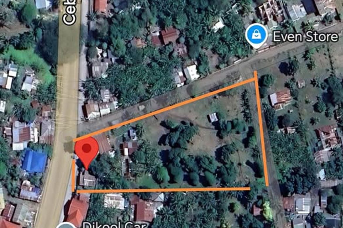 Land for Sale in Poblacion I, Carcar, Cebu – photo 7