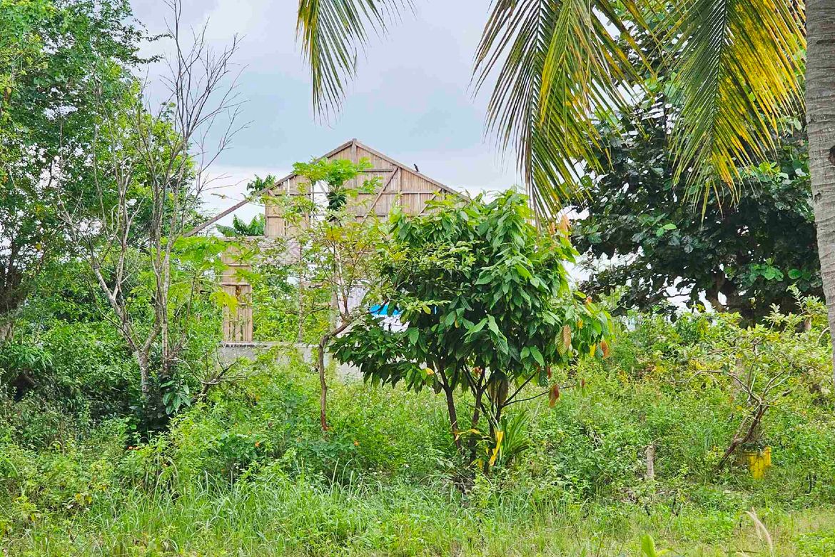 Land for Sale in Poblacion I, Carcar, Cebu – photo 2
