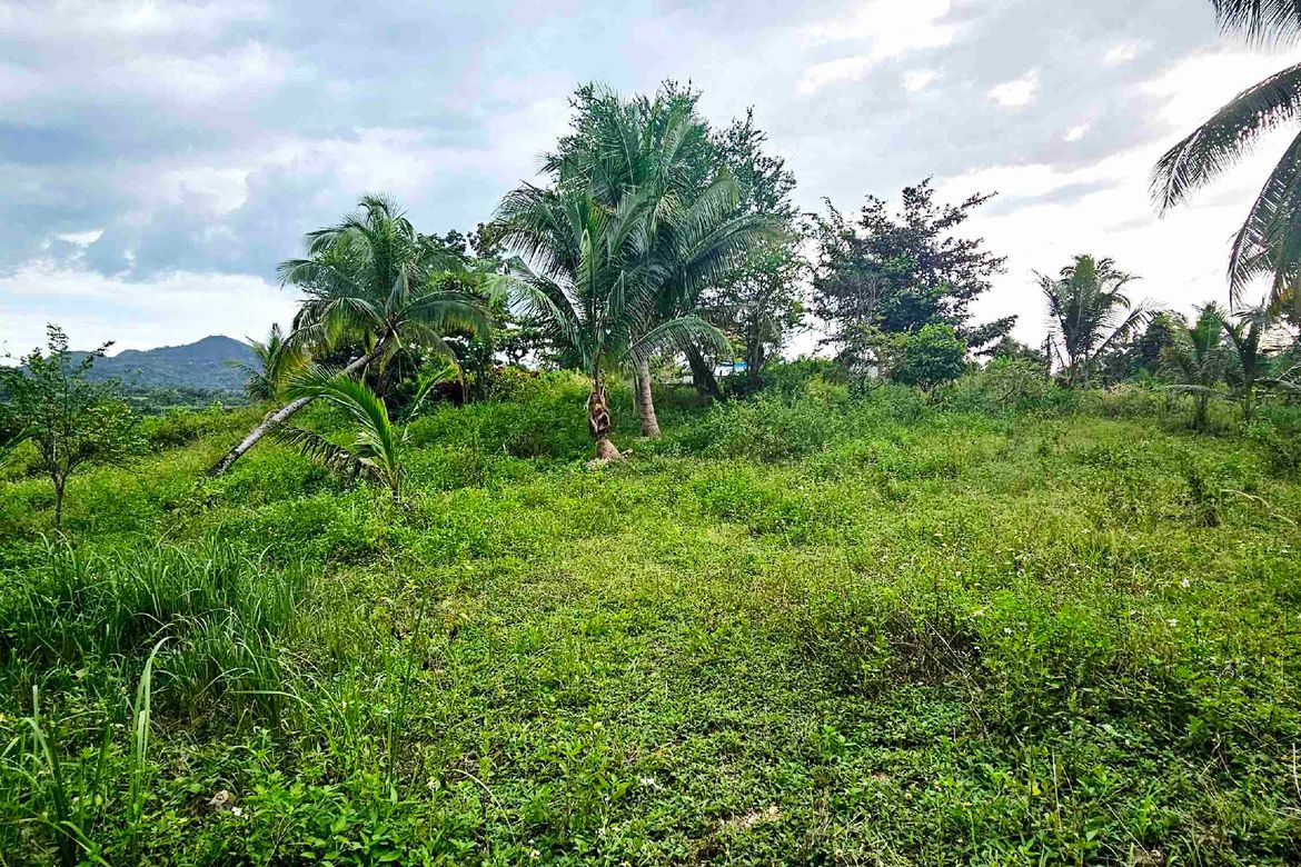 Land for Sale in Poblacion I, Carcar, Cebu – photo 3
