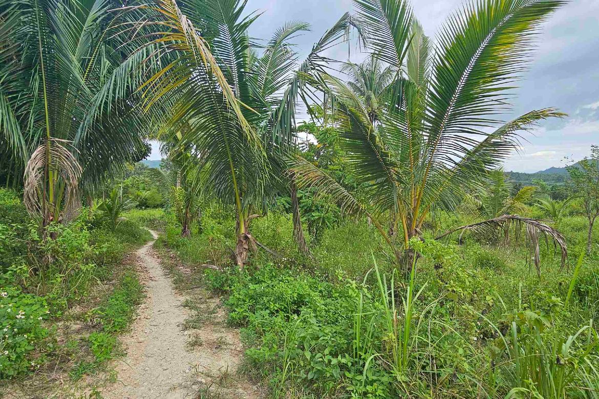 Land for Sale in Poblacion I, Carcar, Cebu – photo 4