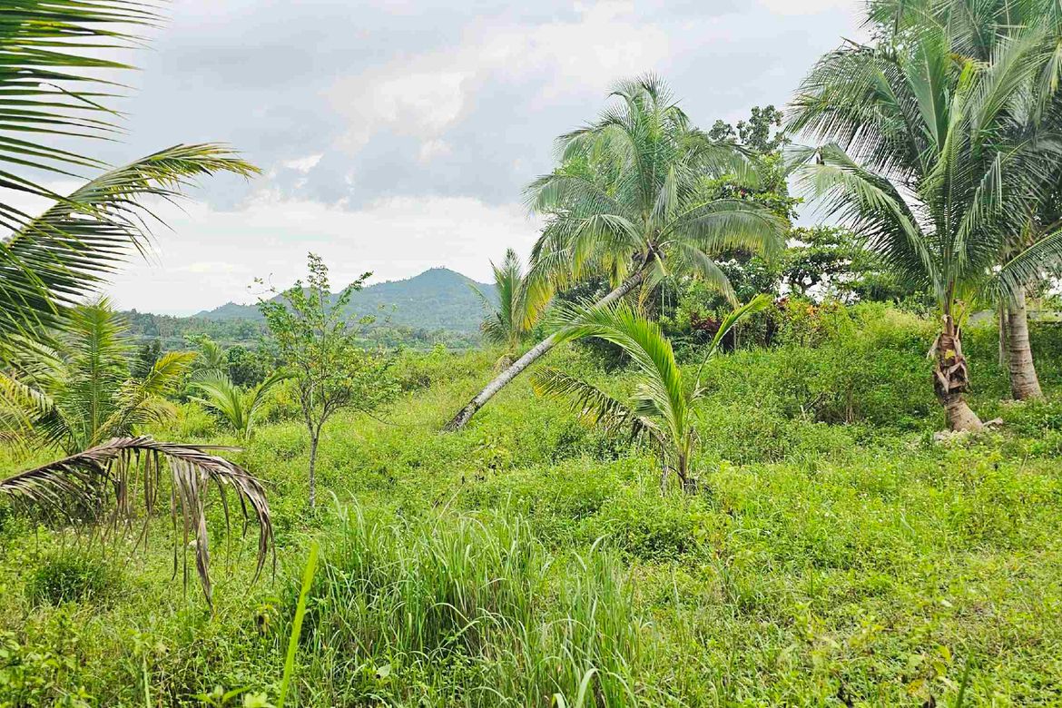 Land for Sale in Poblacion I, Carcar, Cebu – photo 7