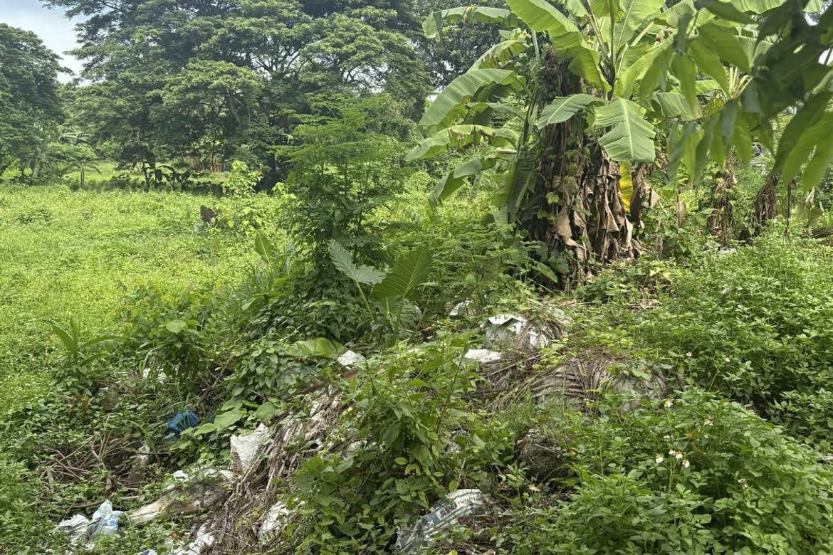 Land for Sale in Poblacion I, Carcar, Cebu