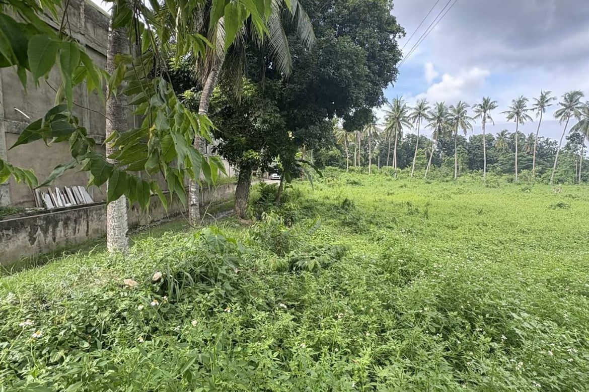 Land for Sale in Poblacion I, Carcar, Cebu – photo 2
