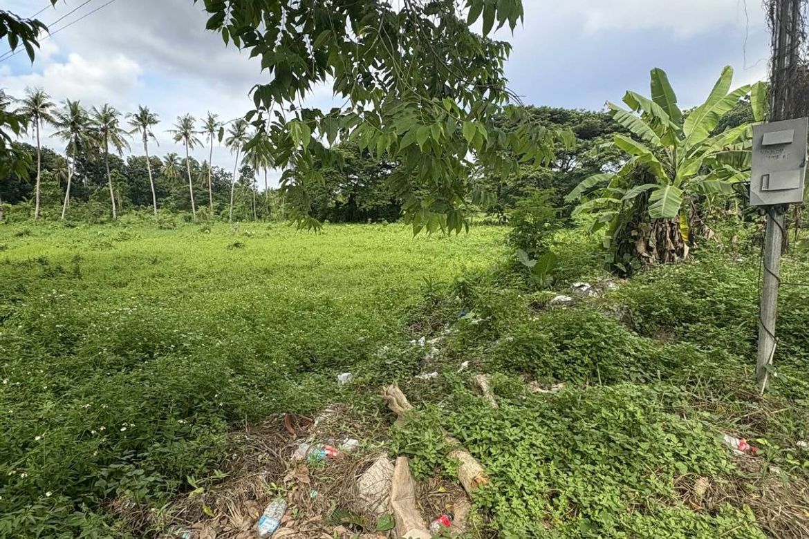 Land for Sale in Poblacion I, Carcar, Cebu – photo 3