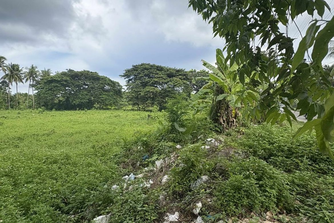 Land for Sale in Poblacion I, Carcar, Cebu – photo 4