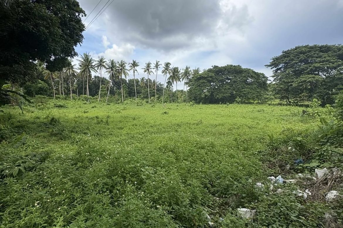 Land for Sale in Poblacion I, Carcar, Cebu – photo 5