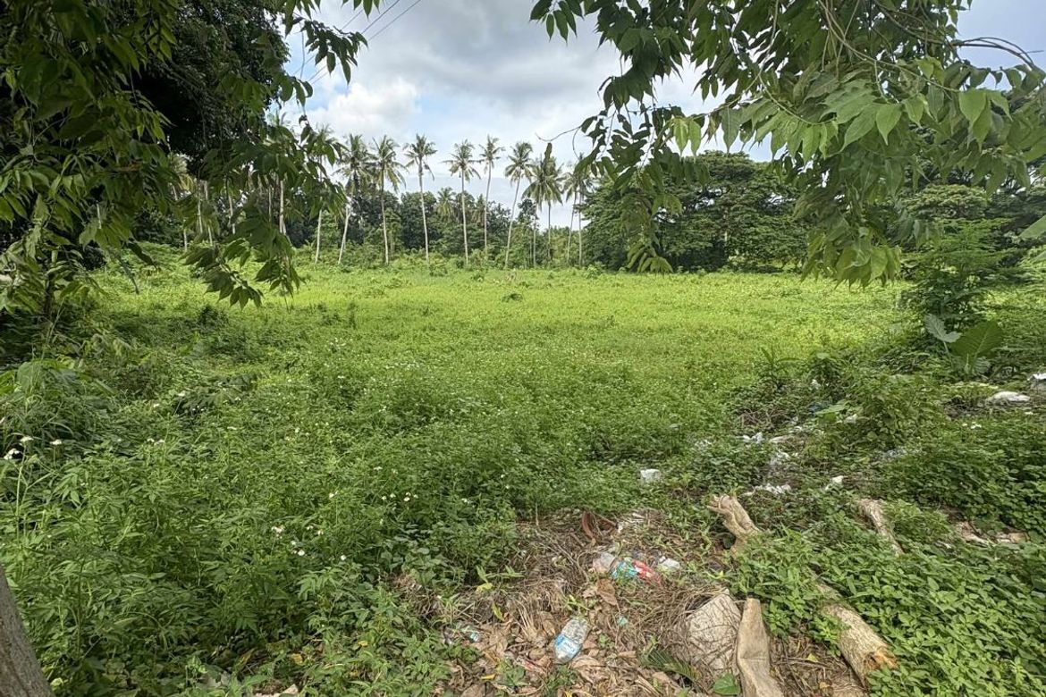 Land for Sale in Poblacion I, Carcar, Cebu – photo 7