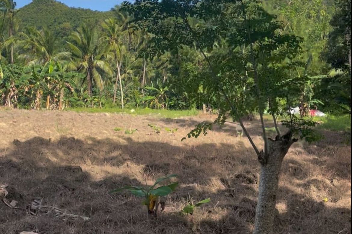 Land for Sale in Poblacion I, Carcar, Cebu – photo 3