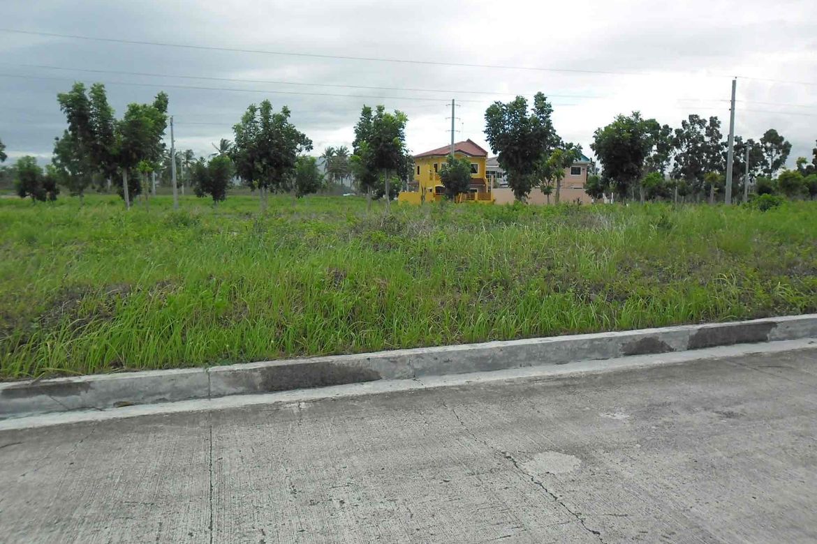 Land for Sale in Poblacion II, Carcar, Cebu