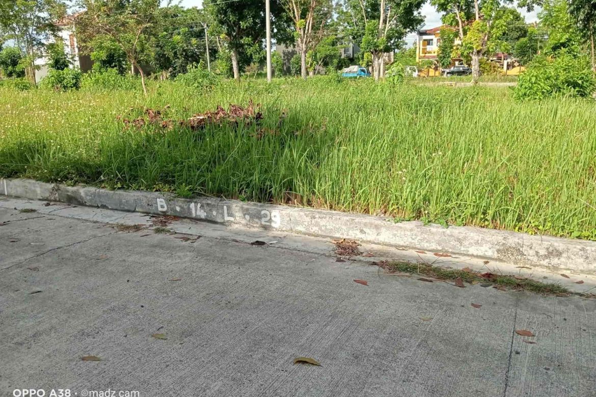 Land for Sale in Poblacion II, Carcar, Cebu – photo 2