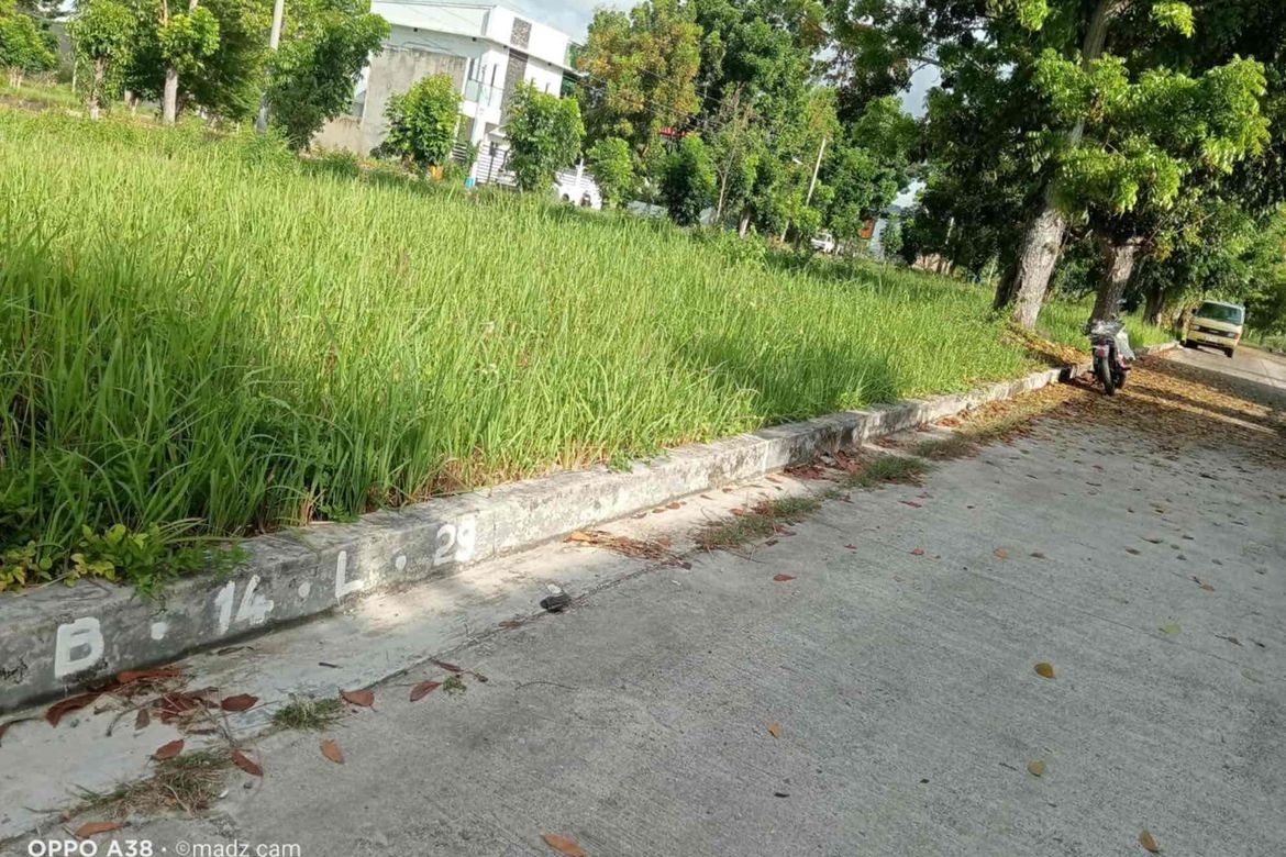 Land for Sale in Poblacion II, Carcar, Cebu – photo 3