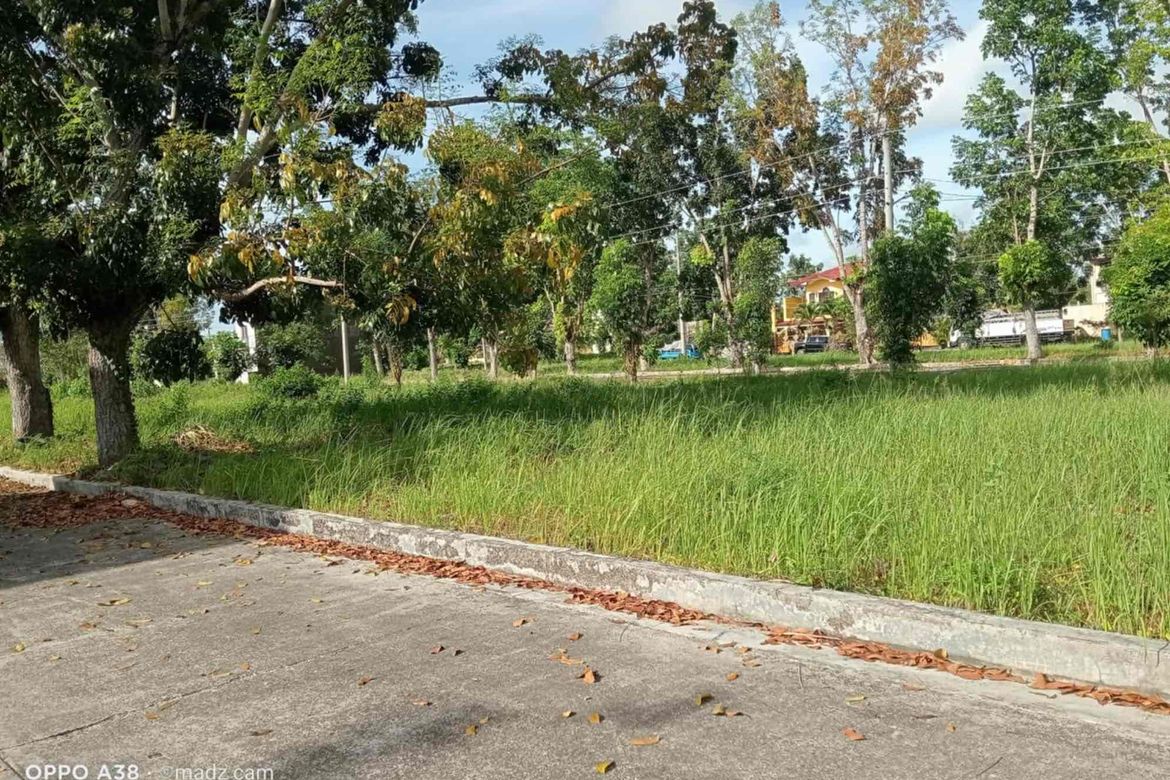 Land for Sale in Poblacion II, Carcar, Cebu – photo 5