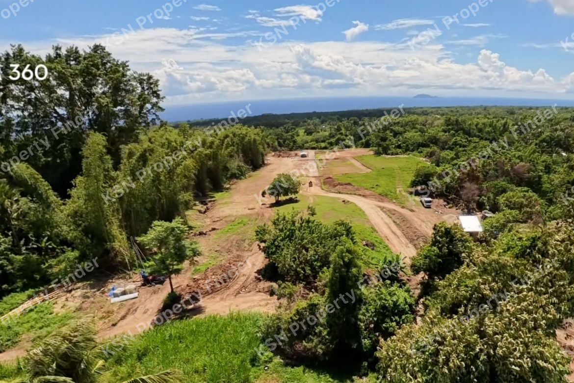 Land for Sale in Poblacion II, Dauin, Negros Oriental – photo 3