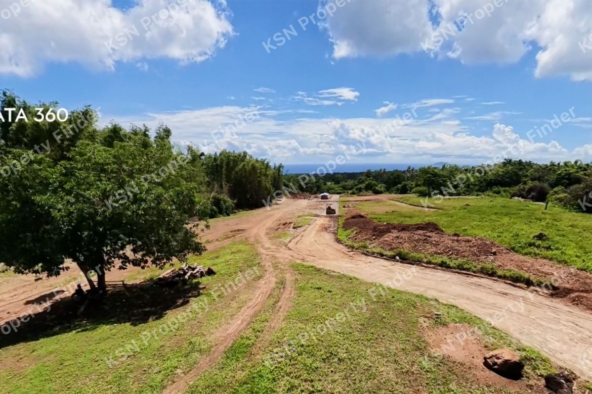 Land for Sale in Poblacion II, Dauin, Negros Oriental – photo 5