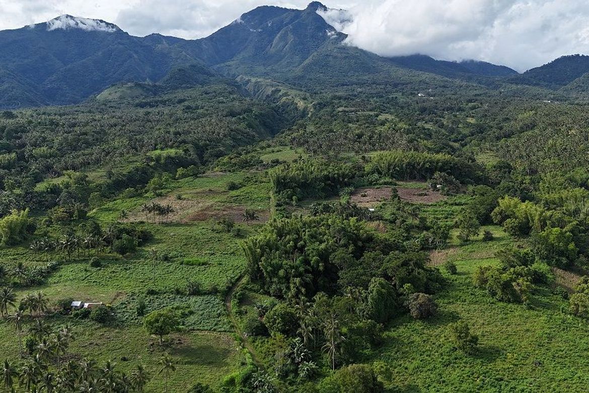 Land for Sale in Poblacion II, Dauin, Negros Oriental
