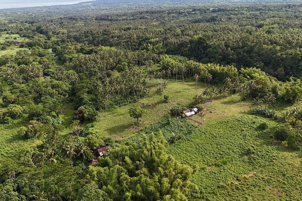 Land for Sale in Poblacion II, Dauin, Negros Oriental – photo 2