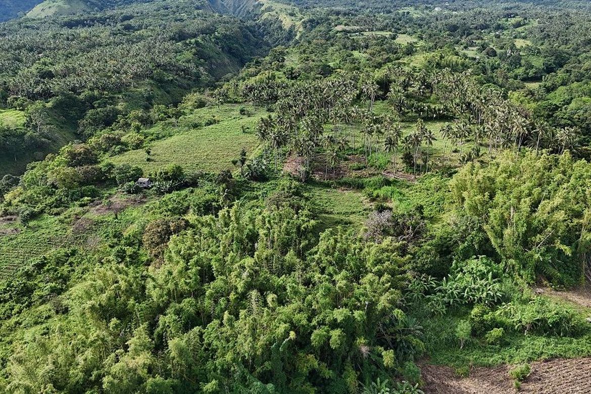 Land for Sale in Poblacion II, Dauin, Negros Oriental – photo 5