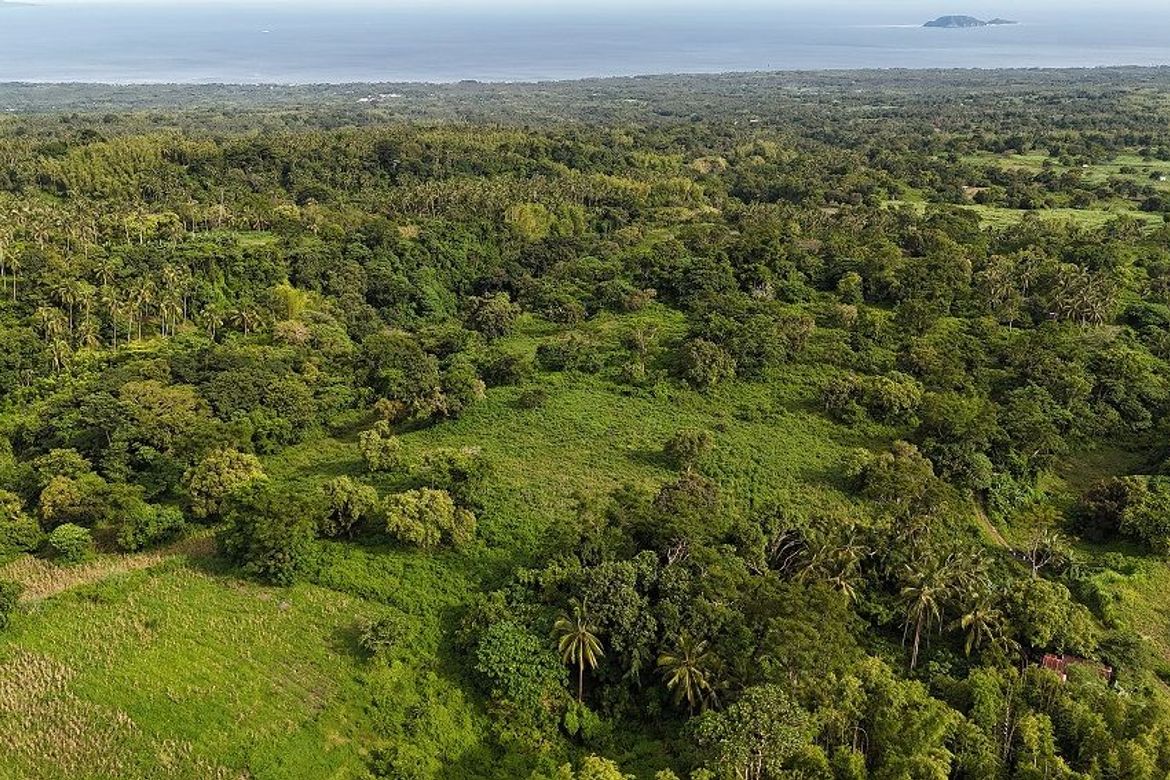 Land for Sale in Poblacion II, Dauin, Negros Oriental – photo 7