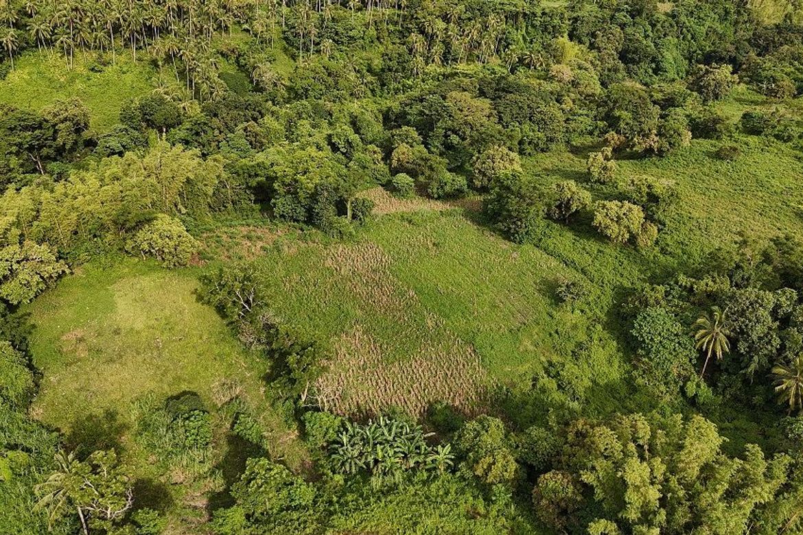 Land for Sale in Poblacion II, Dauin, Negros Oriental – photo 8