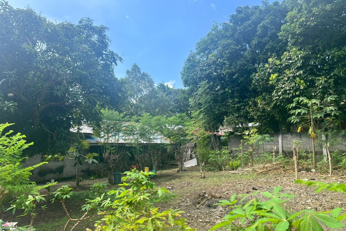 Land for Sale in Poblacion II, Dauin, Negros Oriental