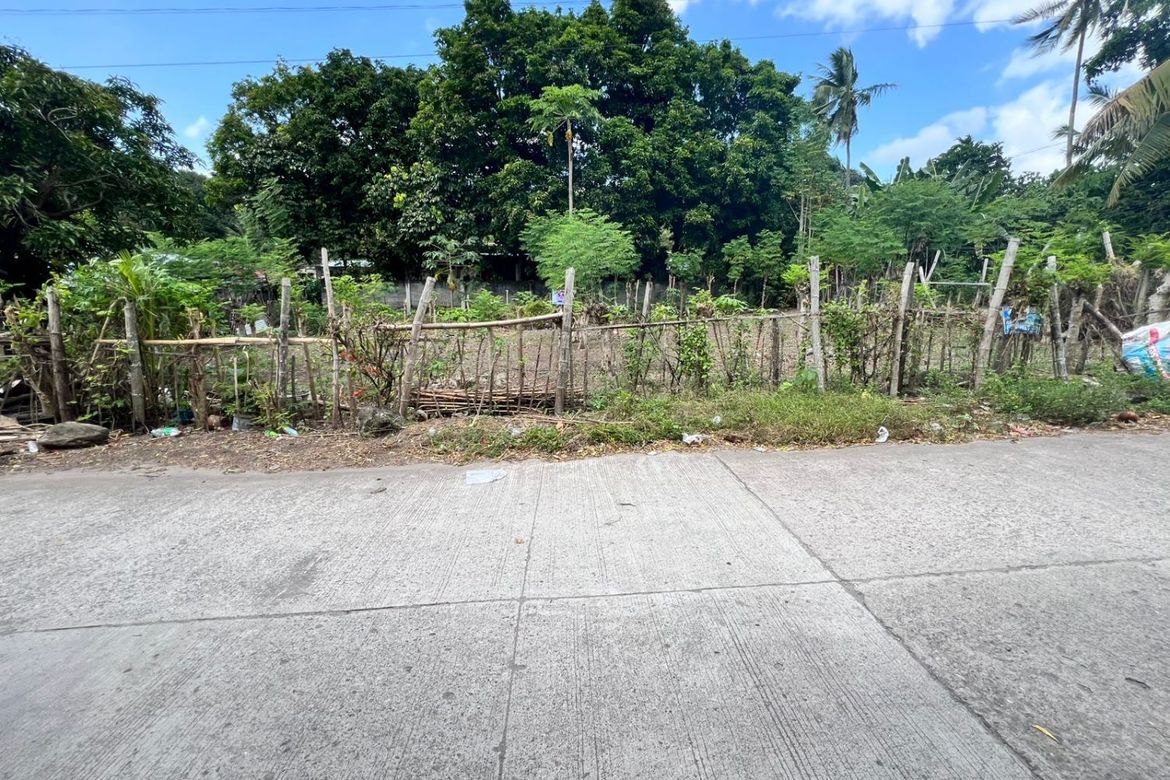 Land for Sale in Poblacion II, Dauin, Negros Oriental – photo 3