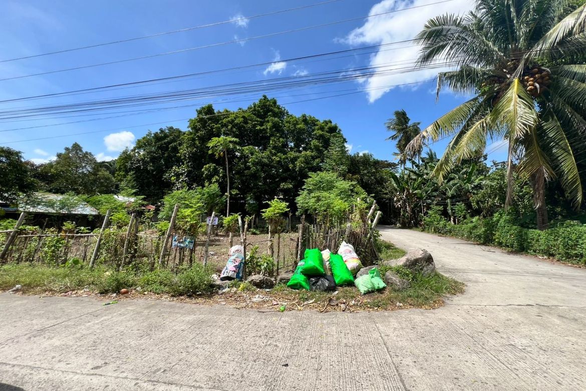 Land for Sale in Poblacion II, Dauin, Negros Oriental – photo 5