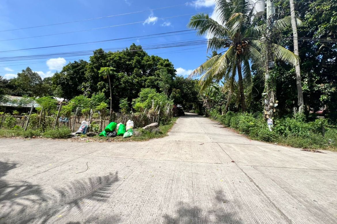Land for Sale in Poblacion II, Dauin, Negros Oriental – photo 6