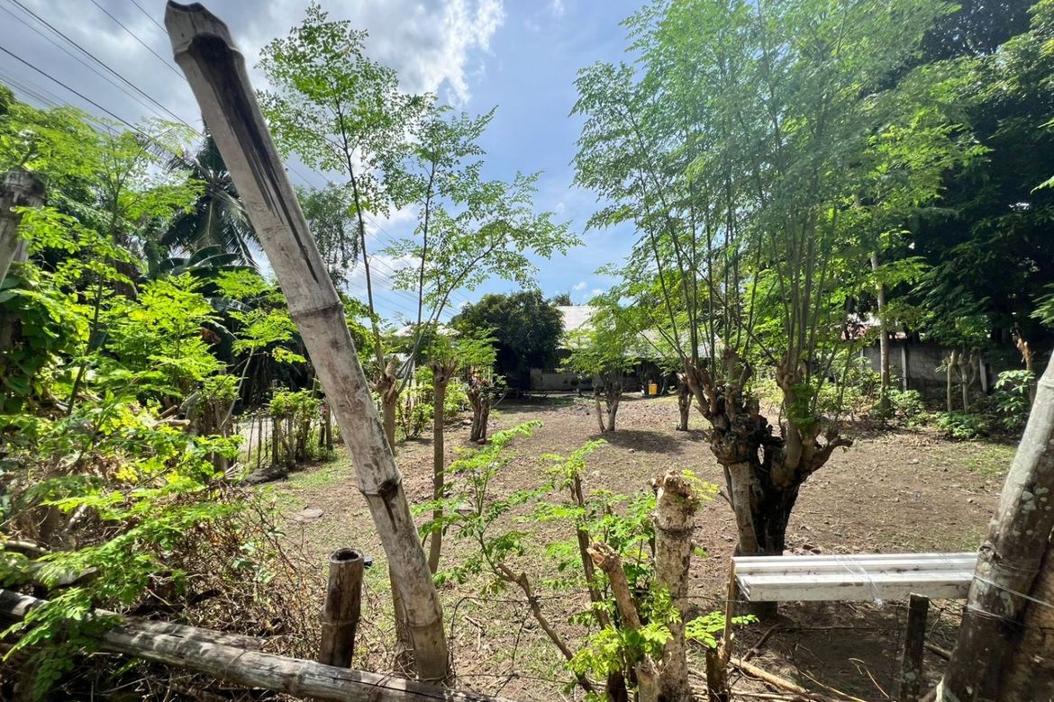 Land for Sale in Poblacion II, Dauin, Negros Oriental – photo 7