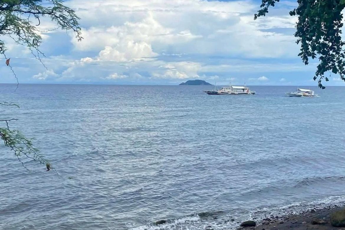 Land for Sale in Poblacion II, Dauin, Negros Oriental