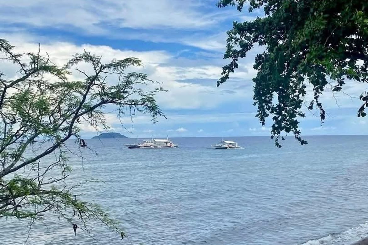 Land for Sale in Poblacion II, Dauin, Negros Oriental – photo 2