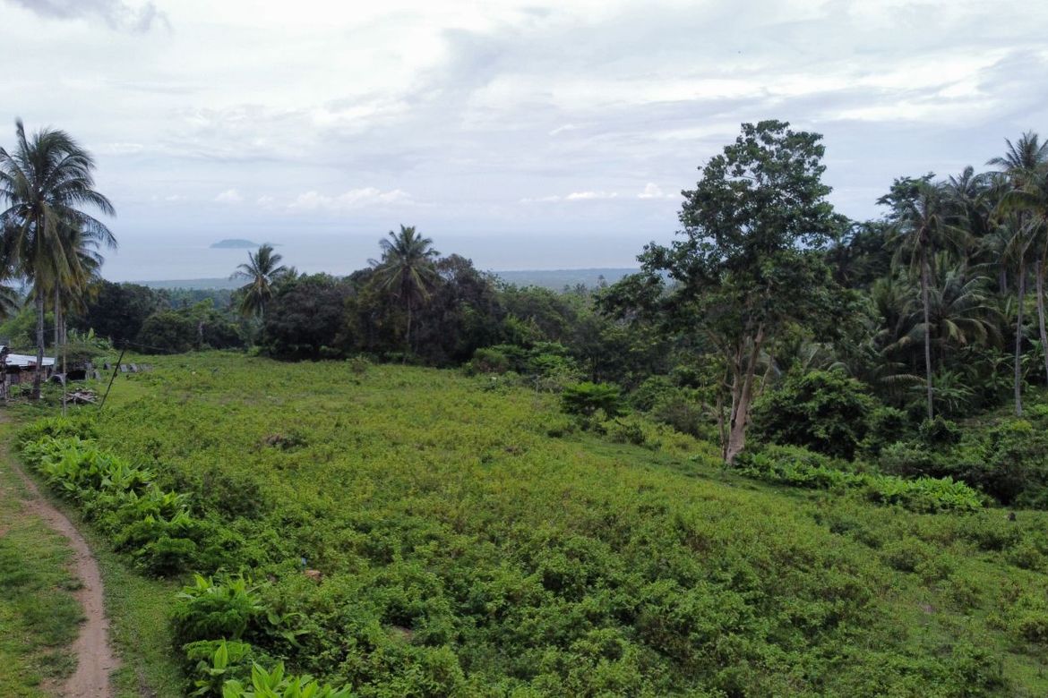 Land for Sale in Poblacion II, Dauin, Negros Oriental – photo 2