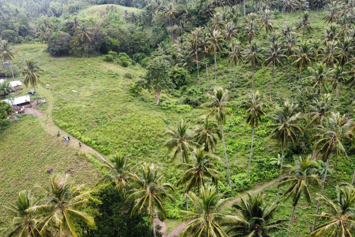 Land for Sale in Poblacion II, Dauin, Negros Oriental – photo 3