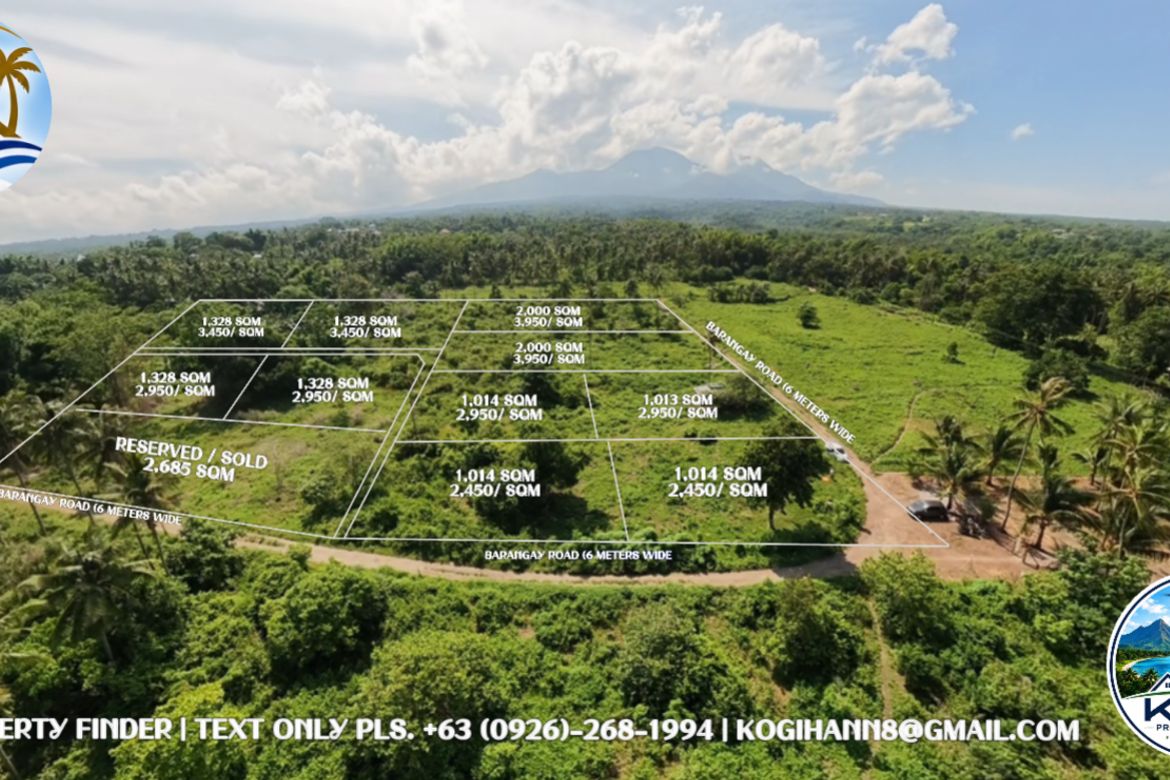 Land for Sale in Poblacion II, Dauin, Negros Oriental