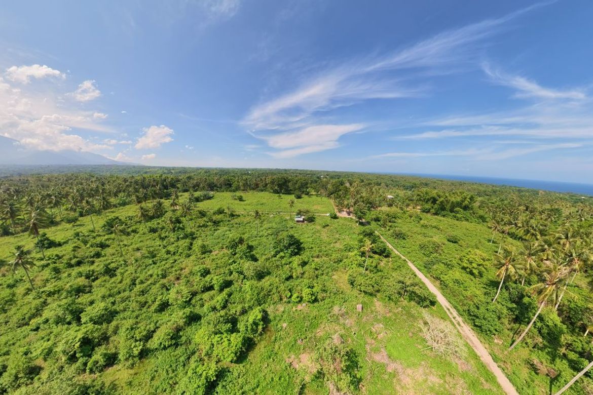 Land for Sale in Poblacion II, Dauin, Negros Oriental – photo 2