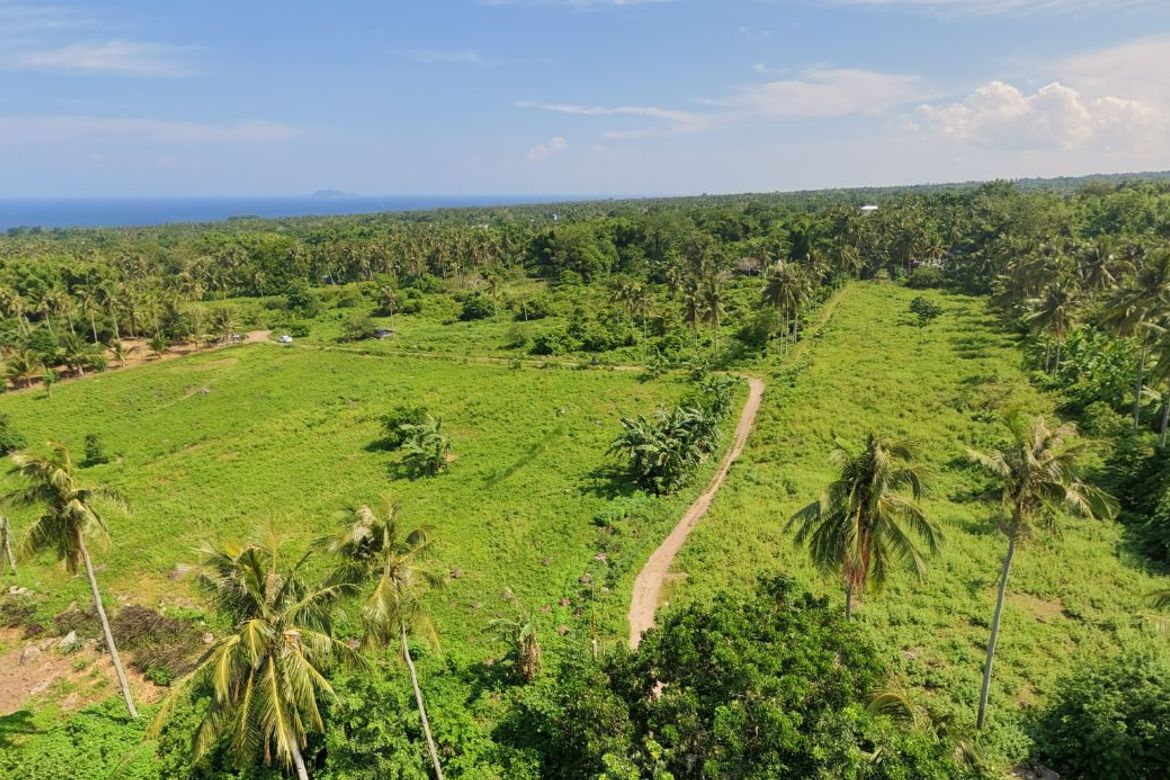 Land for Sale in Poblacion II, Dauin, Negros Oriental – photo 3
