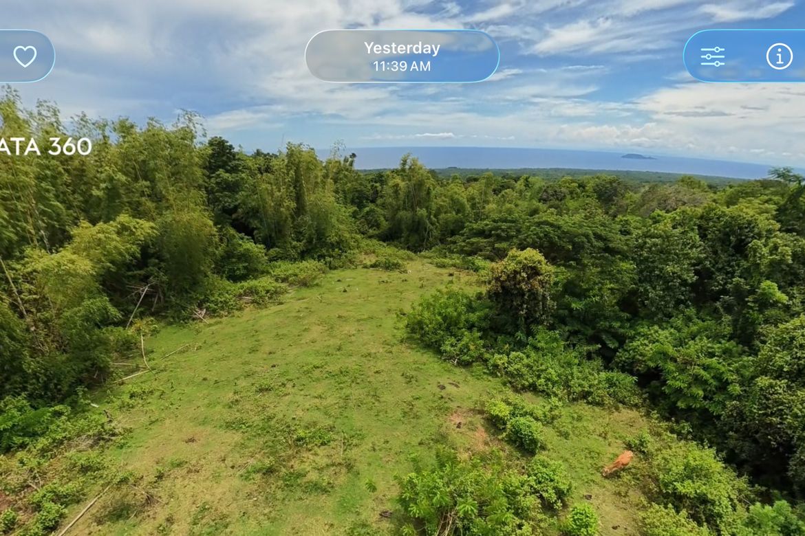 Land for Sale in Poblacion II, Dauin, Negros Oriental – photo 4