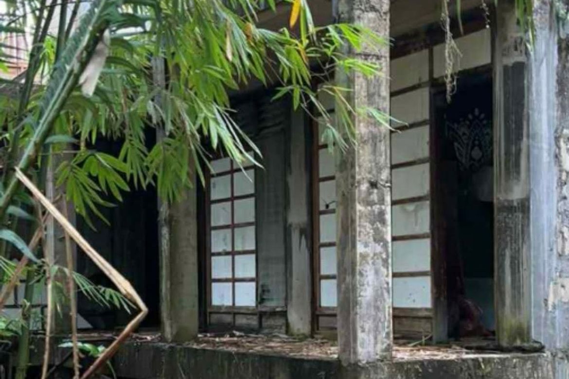 Land for Sale in Poblacion II, General Luna, Surigao del Norte – photo 4